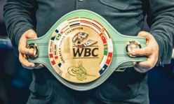 Объявлен громкий бой Казахстан — Узбекистан за титул WBC
