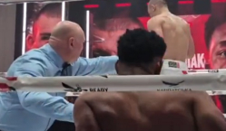 Видео эффектного нокаута Александра Хижняка в дебютном бою в профи