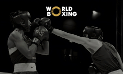 В России раскритиковали судейство в World Boxing